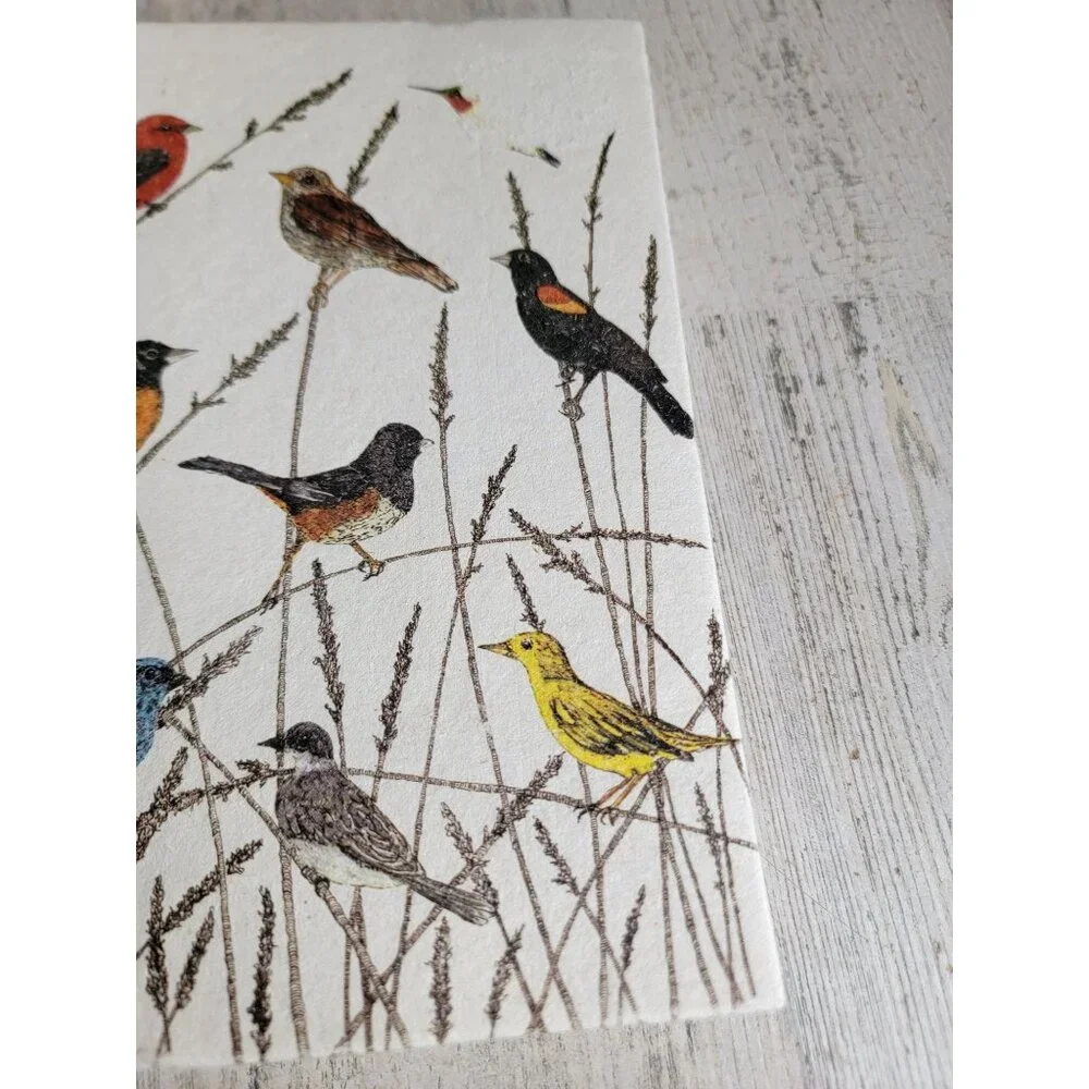 Variety bird blue jay sketch book‎ hummingbird cardinal unique